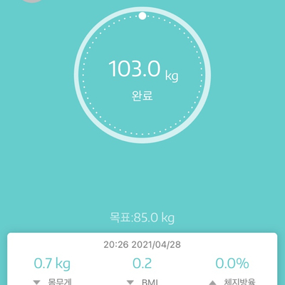  본격적인 다이어트 시작.