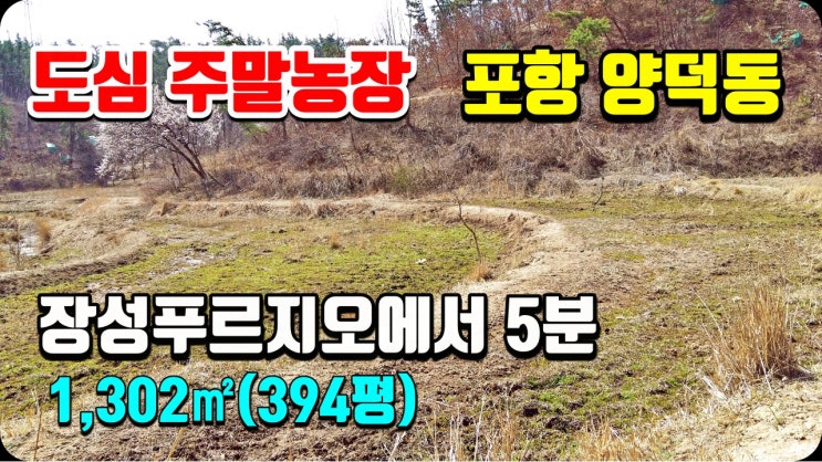 포항부동산 양덕동 산속의 주말농장 텃밭 토지매매-장성푸르지오에서 1Km