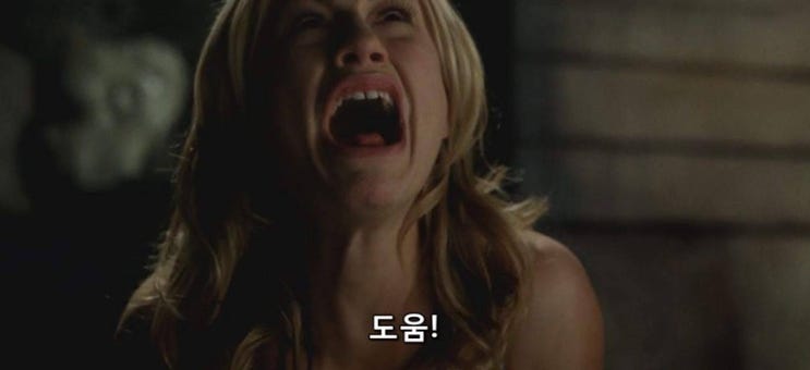  어항에 플라나리아? 거머리? 디스토마? 생김 (약간 혐짤)
