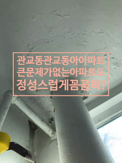  인천시 관교동 관교동아아파트 심각한문제가 없어도 정성들여 꼼꼼히 작업합시다! /곰팡이방지효과 항균효과 조습효과 친환경 탄성코트페인트