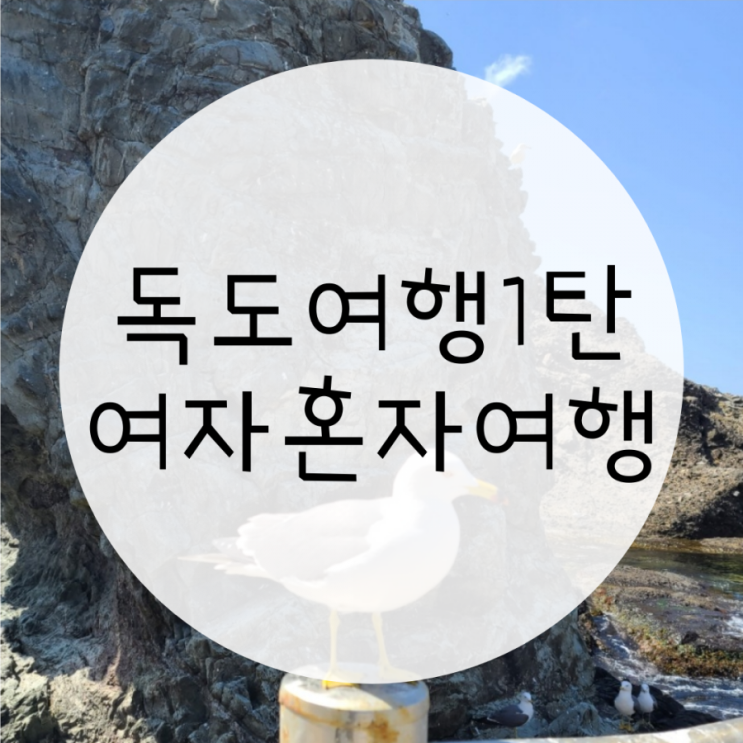 울릉도 독도여행 독도가는법, 울릉도숙소 어택캠프에서 출발