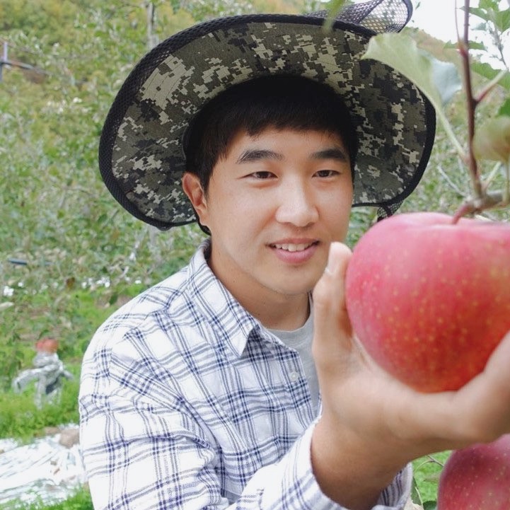요즘 인기있는 농부아빠가 직접재배하는 청송 사과 (가정용 흠과), 1박스, 가정용흠과 5kg / 소과 추천해요