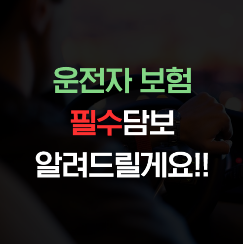  운전자 보험 필수 담보 알려드릴게요~!! 민식이법 대응 담보