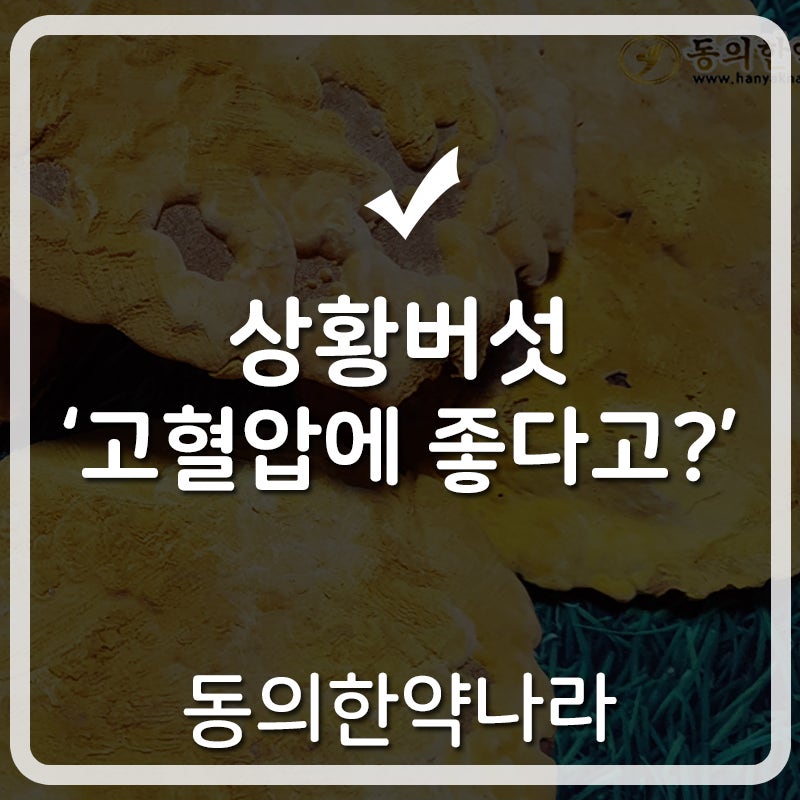 동의한약나라 :: 면역력에 좋은 7