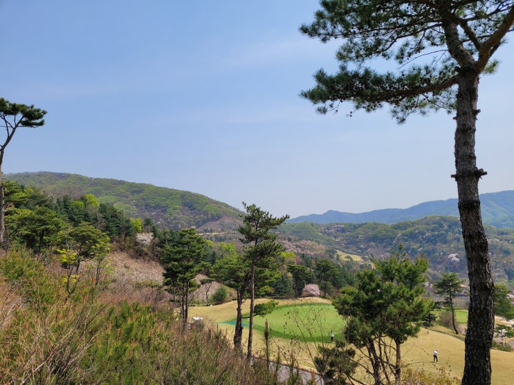  경기도 파주 노스팜cc 라운딩, 퍼블릭 노스팜 컨트리클럽 코스 공략 : 서코스