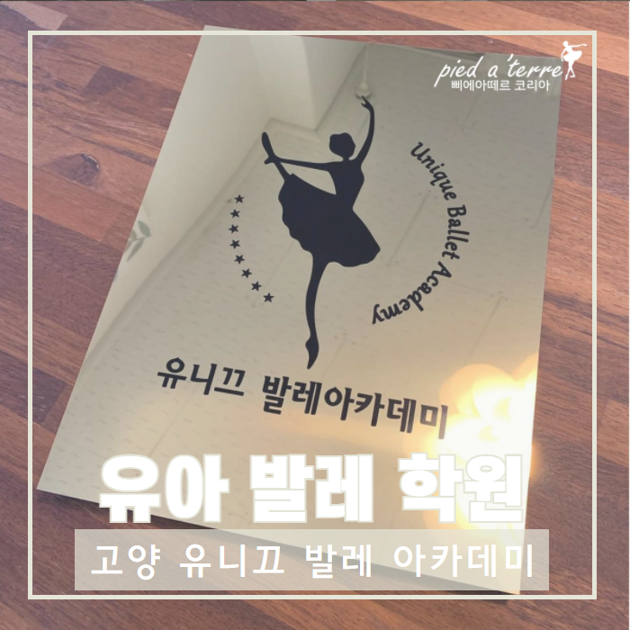  유아 발레 학원 | 유아부터 성인 발레까지 다양한 커리큘럼, 고양 유니끄 발레 아카데미(행신동)