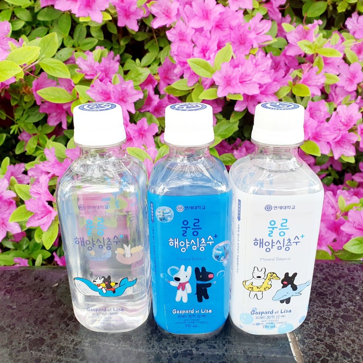  울릉 해양심층수 미네랄 밸런스로 건강 챙겨요