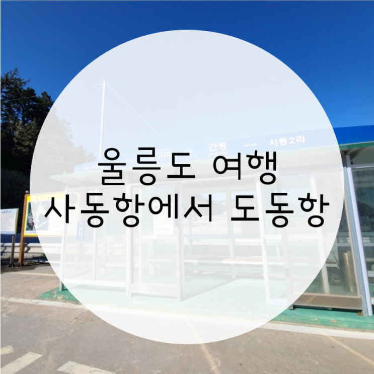 울릉도 자유여행 사동항에서 도동항가는 버스.사동항 카페 미당