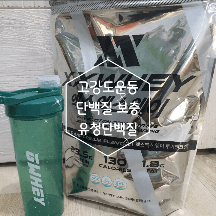  XXWHEY 유청단백질 운동 후 든든하게 챙기는 프로틴