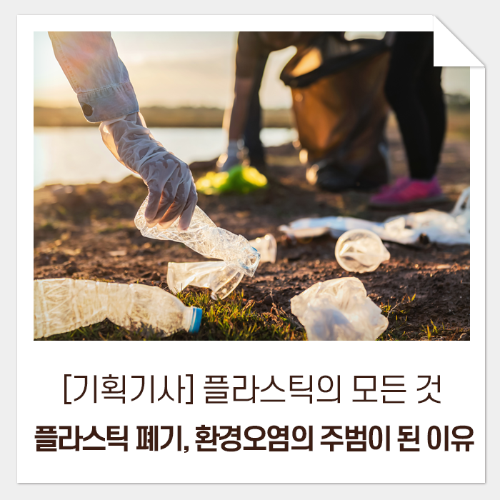  [기획기사] 플라스틱의 모든 것, 그리고 내일을 위한 우리의 선택 2 플라스틱 폐기, 환경 오염의 주범이 된 이유