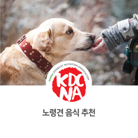  [펫영양사/한국반려동물영양협회/펫푸드자격증/거창/고령/익산/군산/전주/태안/천안/대전] 정유경 펫영양사가 알려주는 노령견 음식 추천_793