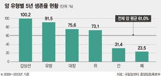 항암제약물부작용 생식기계 비뇨기계 간질환 성기능장애 임신 간호진단케이스 암환자주의사항