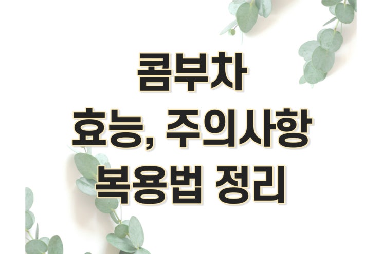  콤부차 효능 및 부작용 먹는법 정리 (티젠,코스트코,kombucha)