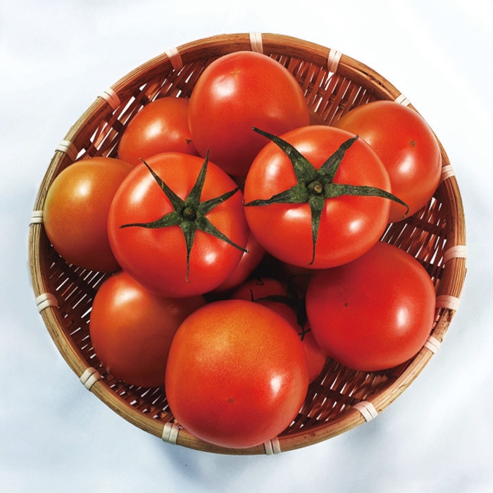 갓성비 좋은 국내산 부여 스테비아 토망고 1kg(1팩) 2kg(2팩), 스테비아 토망고1kg(1팩) 4개입~8개입 추천해요 갓성비 좋은 국내산 부여 스테비아 토망고 1kg(1팩) 2kg(2팩), 스테비아 토망고1kg(1팩) 4개입~8개입 추천해요