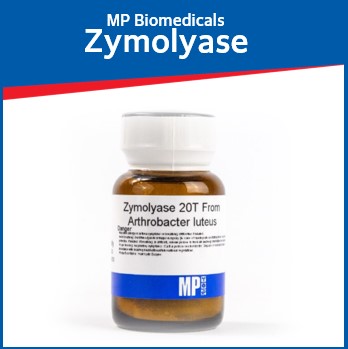 Zymolyase - Yeast Lytic Enzyme