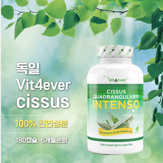 많이 찾는 독일 시서스 캡슐 Vit4ever cissus 725mg 이상 6개월분 구매대행 추천합니다 많이 찾는 독일 시서스 캡슐 Vit4ever cissus 725mg 이상 6개월분 구매대행 추천합니다