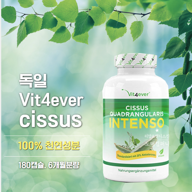 많이 찾는 독일 시서스 캡슐 Vit4ever cissus 725mg 이상 6개월분 구매대행 추천합니다