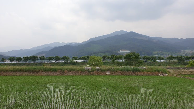  숨차는 증상 원인 그리고 경옥고를 먹으면 해결될까요