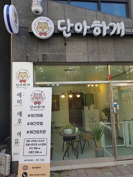 사진 4