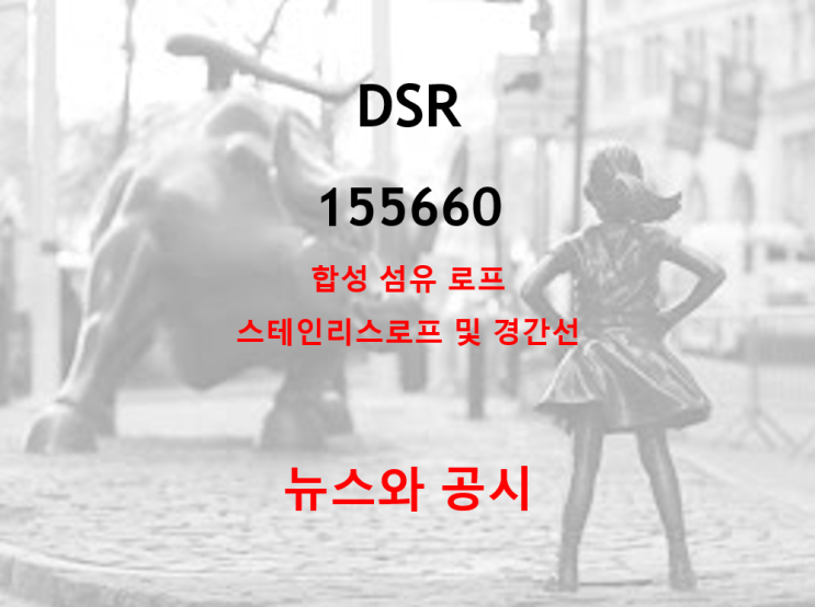  합성섬유 스테인리스로프 강자 DSR 뉴스 및 공시