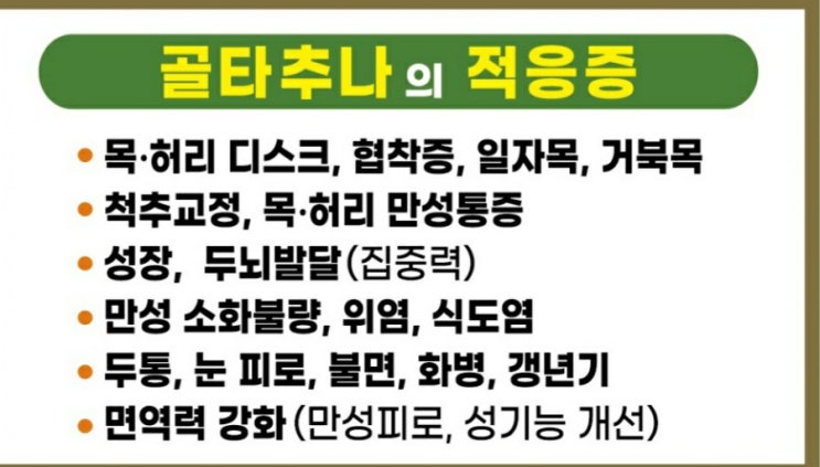  골타추나 (1)