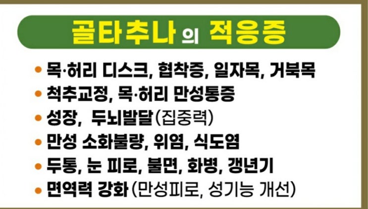 골타추나 (1)