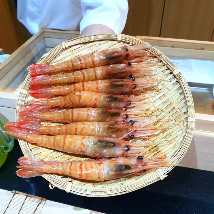  4월 이수 스시코에 디너 리뷰