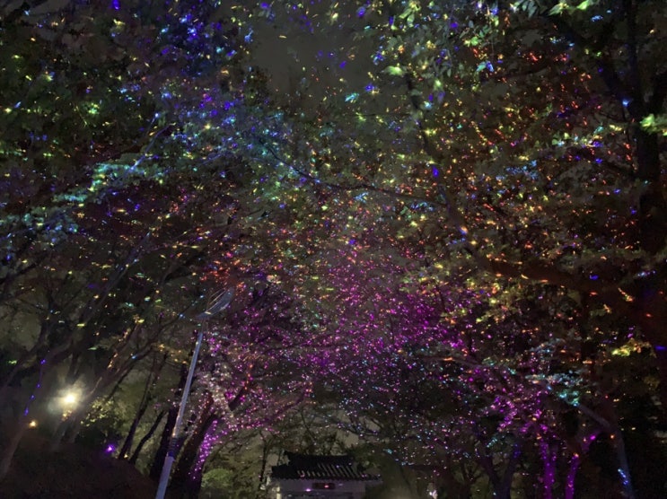  산책할 때 보이는 푸르른 꽃과 나무가 좋아요. 여러분의 봄 산책 기록을 사진과 함께 보여주세요!