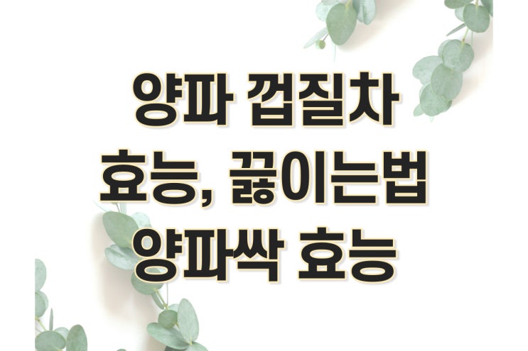  양파 껍질차 효능, 끓이는법, 양파싹 효능 정리