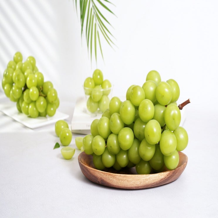 후기가 정말 좋은 프리미엄 샤인머스켓 고당도 망고포도 과일선물 2kg 추천합니다 후기가 정말 좋은 프리미엄 샤인머스켓 고당도 망고포도 과일선물 2kg 추천합니다