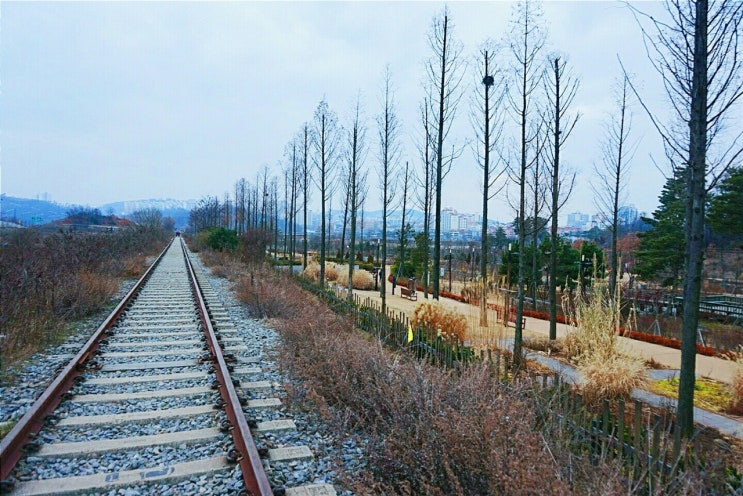  제로 이야기 12 - 팔당역에서