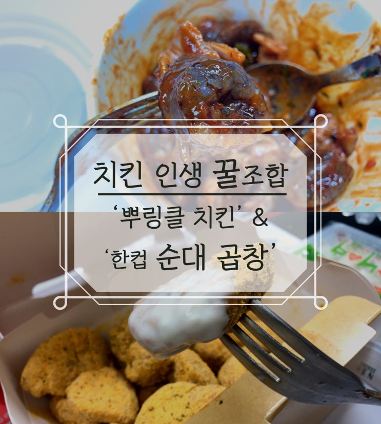  치킨 인생 꿀조합 추천 [뿌링클 치킨 & 한컵 순대 곱창] feat. 칠성사이다 제로