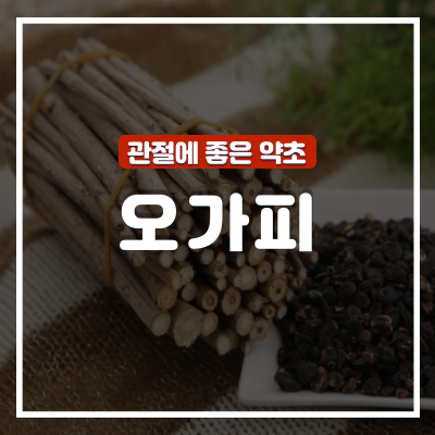  관절에 좋은 오가피 5가지 효능과 부작용 : 오가피 열매, 순, 나물 이점