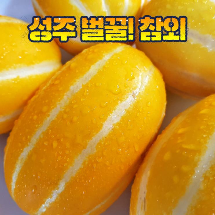 가성비 뛰어난 훈이네 성주참외 당도선별 이것이꿀인가!참외인가!맛이좋아 성주참외 참외정품, 1박스, 8).꿀참외 10kg대과 추천합니다