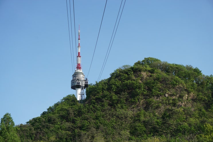  서울 남산타워 볼거리 제대로 즐기기