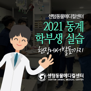 2021 동계 학부생 실습 ~현장에서 발표까지~ (부산/울산/창원/양산/밀양 센텀동물메디컬센터)