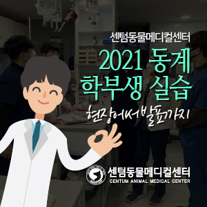  2021 동계 학부생 실습 ~현장에서 발표까지~ (부산/울산/창원/양산/밀양 센텀동물메디컬센터)