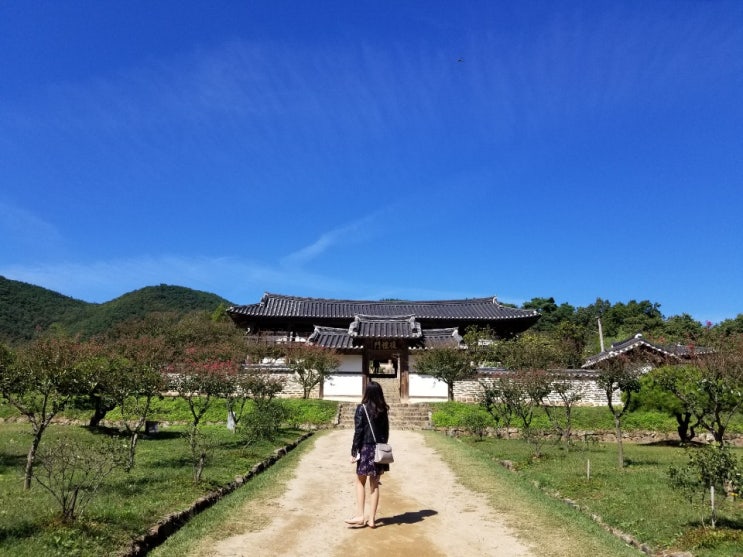 [안동여행] 안동하회마을/병산서원/부용대/유교의 길