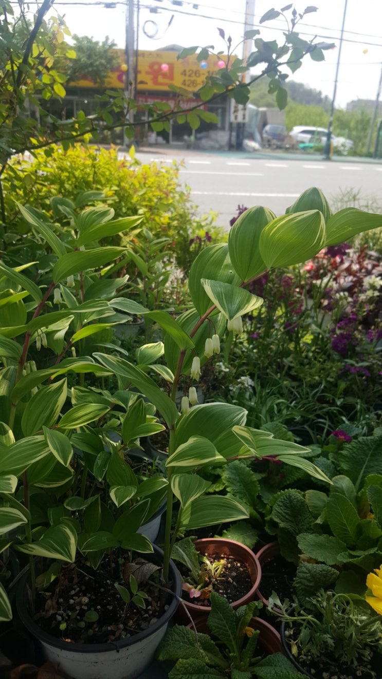  블로그 챌린지 오늘일기 (4/30)