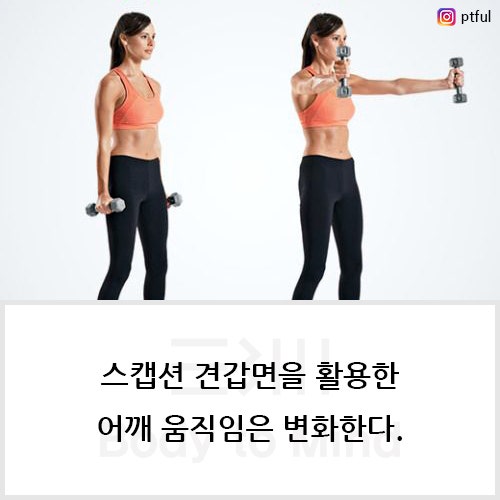 스캡션 견갑면을 활용한 어깨 움직임은 변화한다.