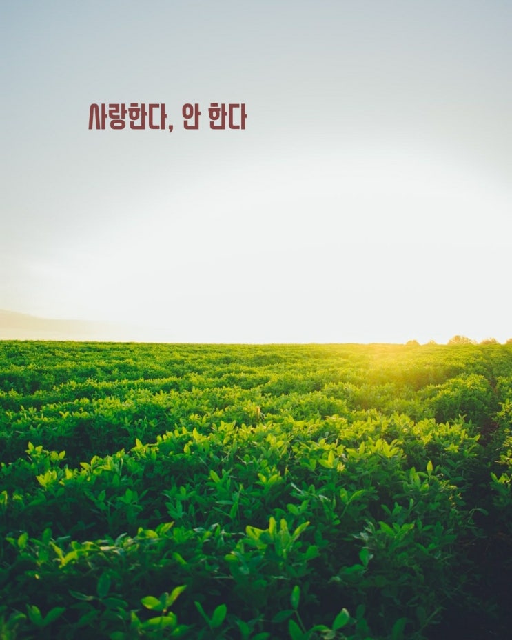  제로 이야기 13 - 사랑한다, 안 한다
