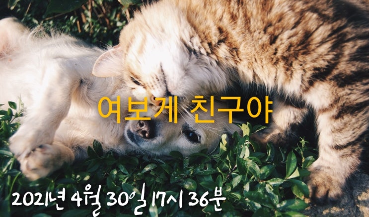  여보게 친구야
