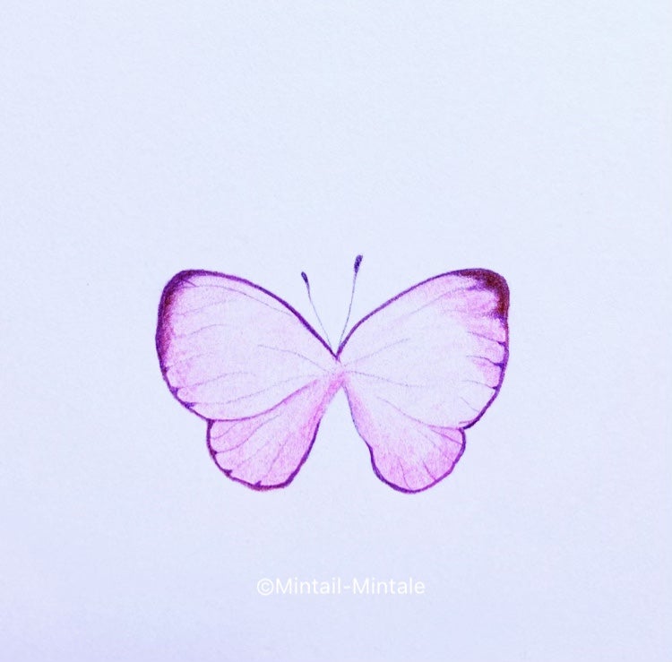 내 그림 40/100 : 나비 그림 그리기
