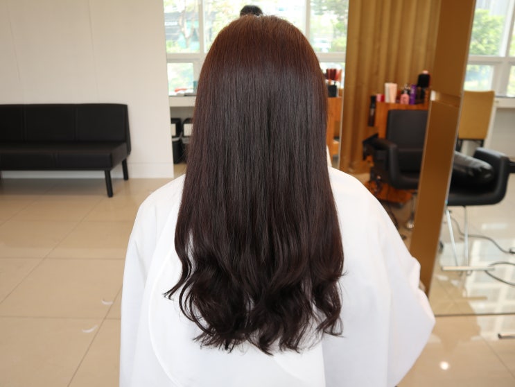  세종 아름동 미용실 브리스헤어 BRIS HAIR 휘한원장님 애쉬브라운 염색