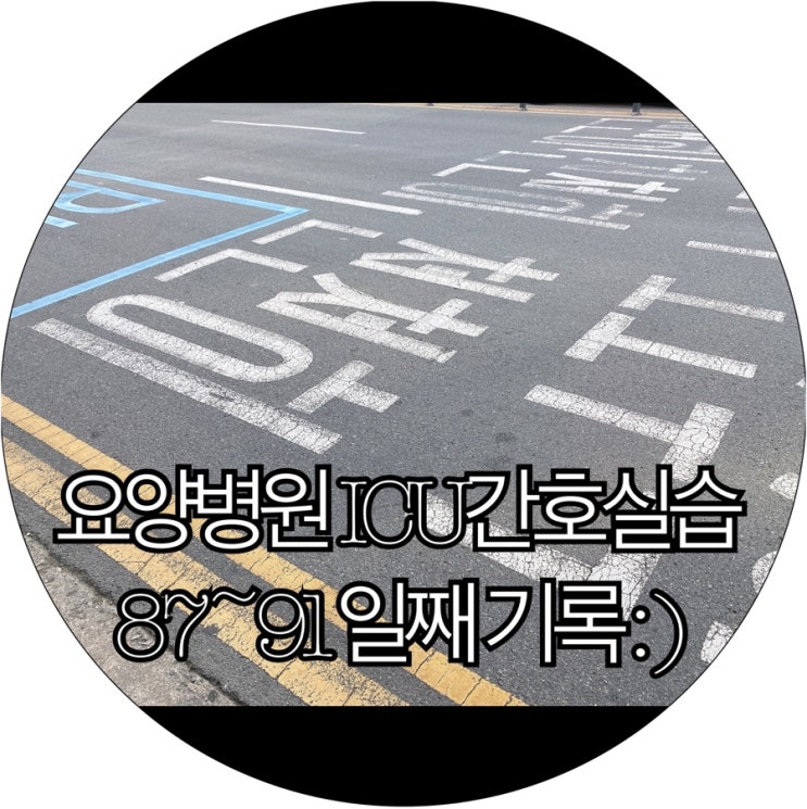  [간호조무사실습생 은느님]요양병원 ICU간호실습 87~91일째 기록 : )