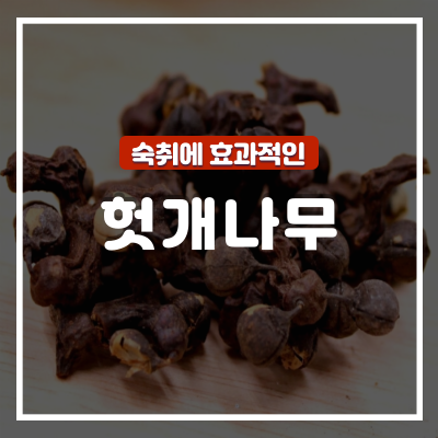  숙취와 간에 효과적인 헛개나무 효능 및 부작용 : 헛개차