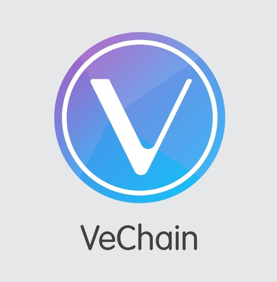  비체인 코인 [VEN] 5월부터의 정보와 전망