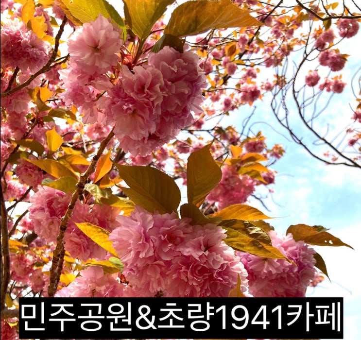 봄맞이 꽃놀이는 민주공원(feat.초량1941)