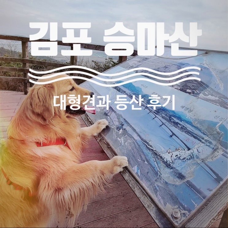  승마산, 대형견과 함께 등산 후기