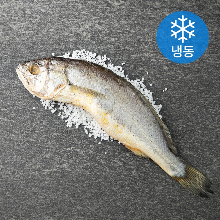 리뷰가 좋은 영광 법성포 쫀득한 굴비 (냉동), 160g, 1개 ··· 리뷰가 좋은 영광 법성포 쫀득한 굴비 (냉동), 160g, 1개 ···